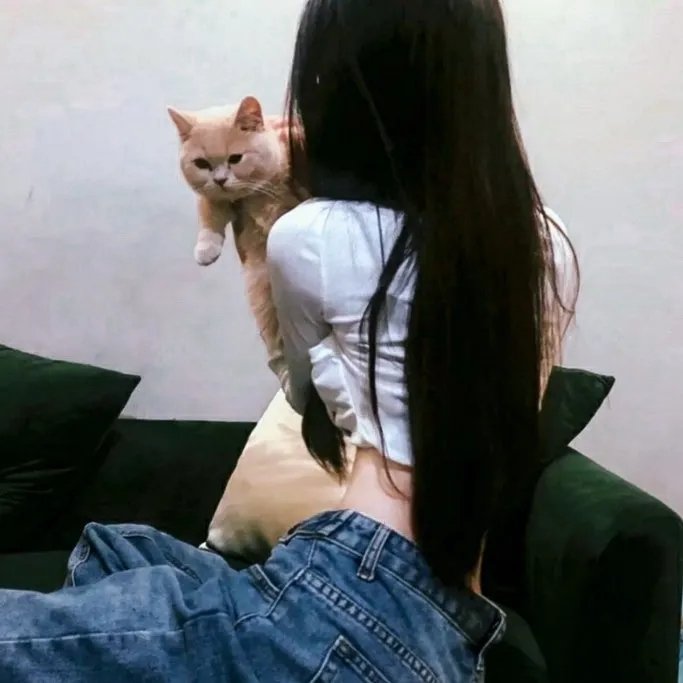 翩娜
