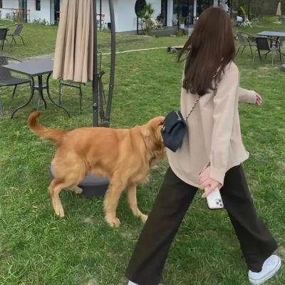 玛莎·米邱效应